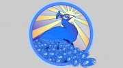 Bluebird Therapeutlc Massage & Bodywork