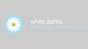 White Dahlia