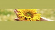 Heart Of Healing Massage Therapy & Energy Medicine