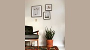Coastline Massage Therapy