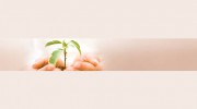 Two Hands Massage Therapy
