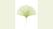Monroe Healing Therapies