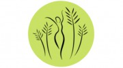 Dancing Reeds Healing
