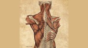 Sandpoint Medical Massage & Bodyworks