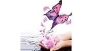 Gentle Journey