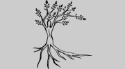 Northern Roots Massage