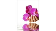 Tips & Toes Spa