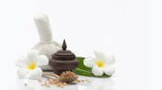 Peace Tree Massage & Wellness