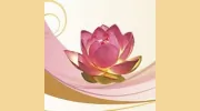 Harmony Massage